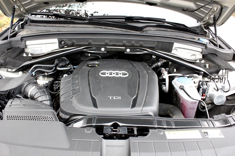 Audi Q5 2.0 TDI 177 CV - fotografia: www.luxury360.es